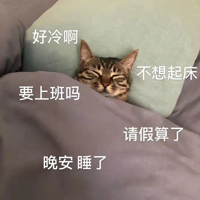 橘子