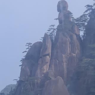 颜老大