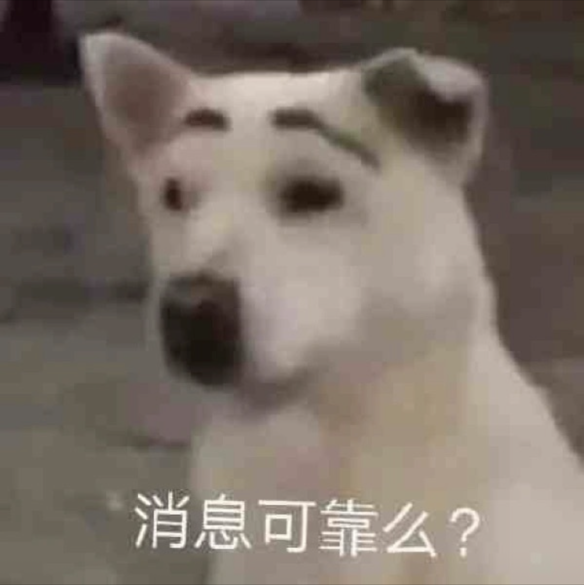 哦好的吧666
