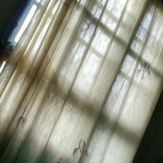 江西小斌