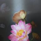 小朱