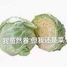 绿脖西凤