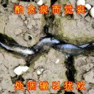 勿空过