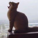 七不规范要遵守