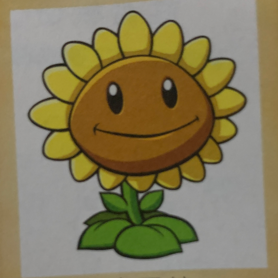 向日葵