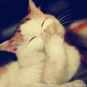 西头小孩儿