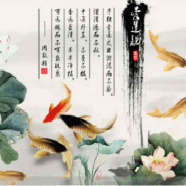 小鱼儿