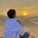 一只小狼狗