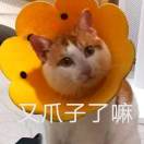 江暖嘎嘎