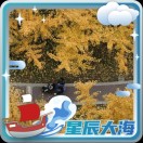 杨威利