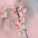 路路