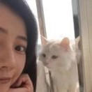 桦嘉