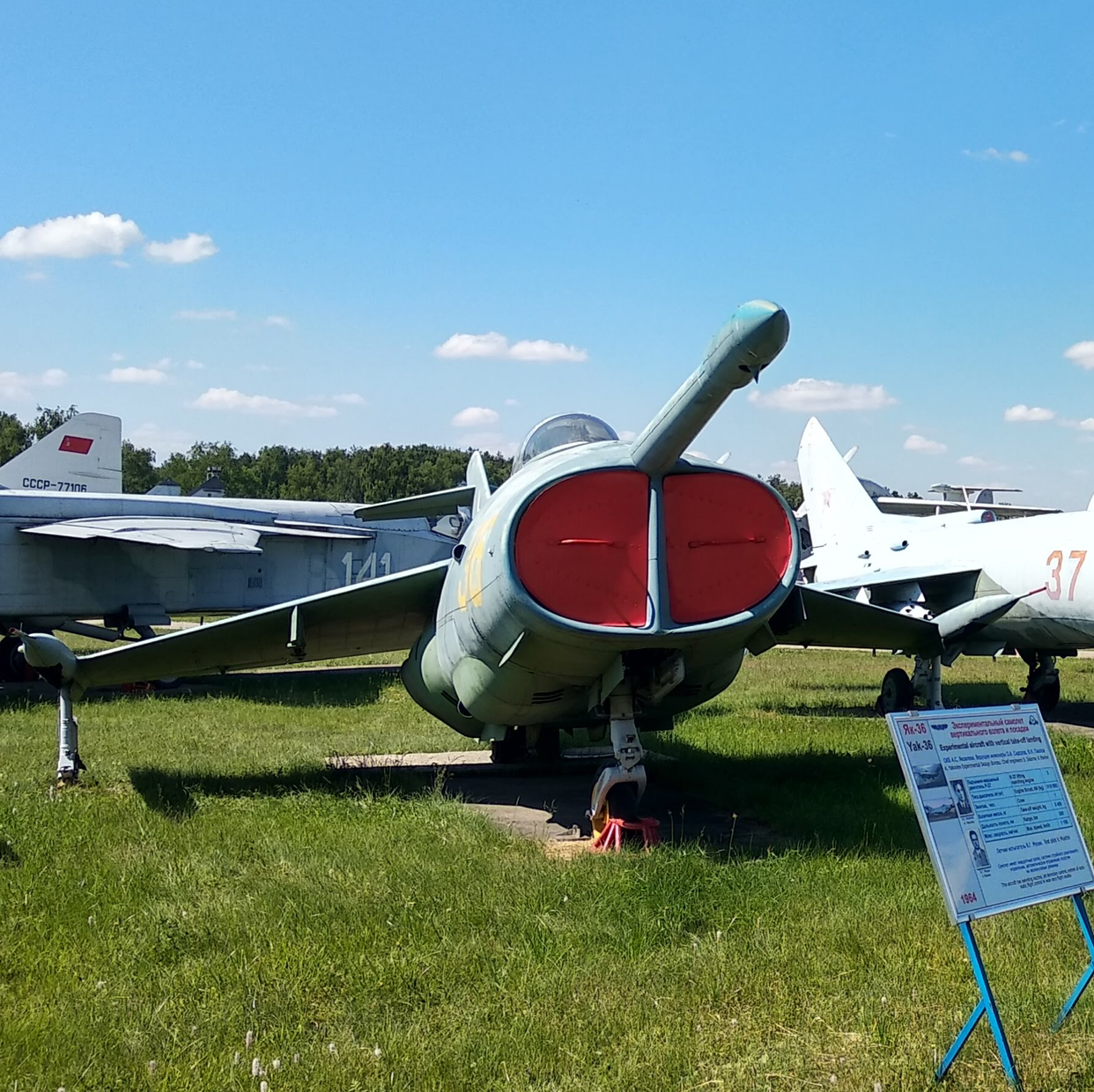 Yak43