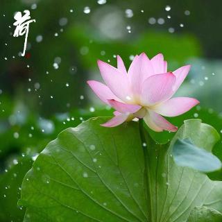 心愿