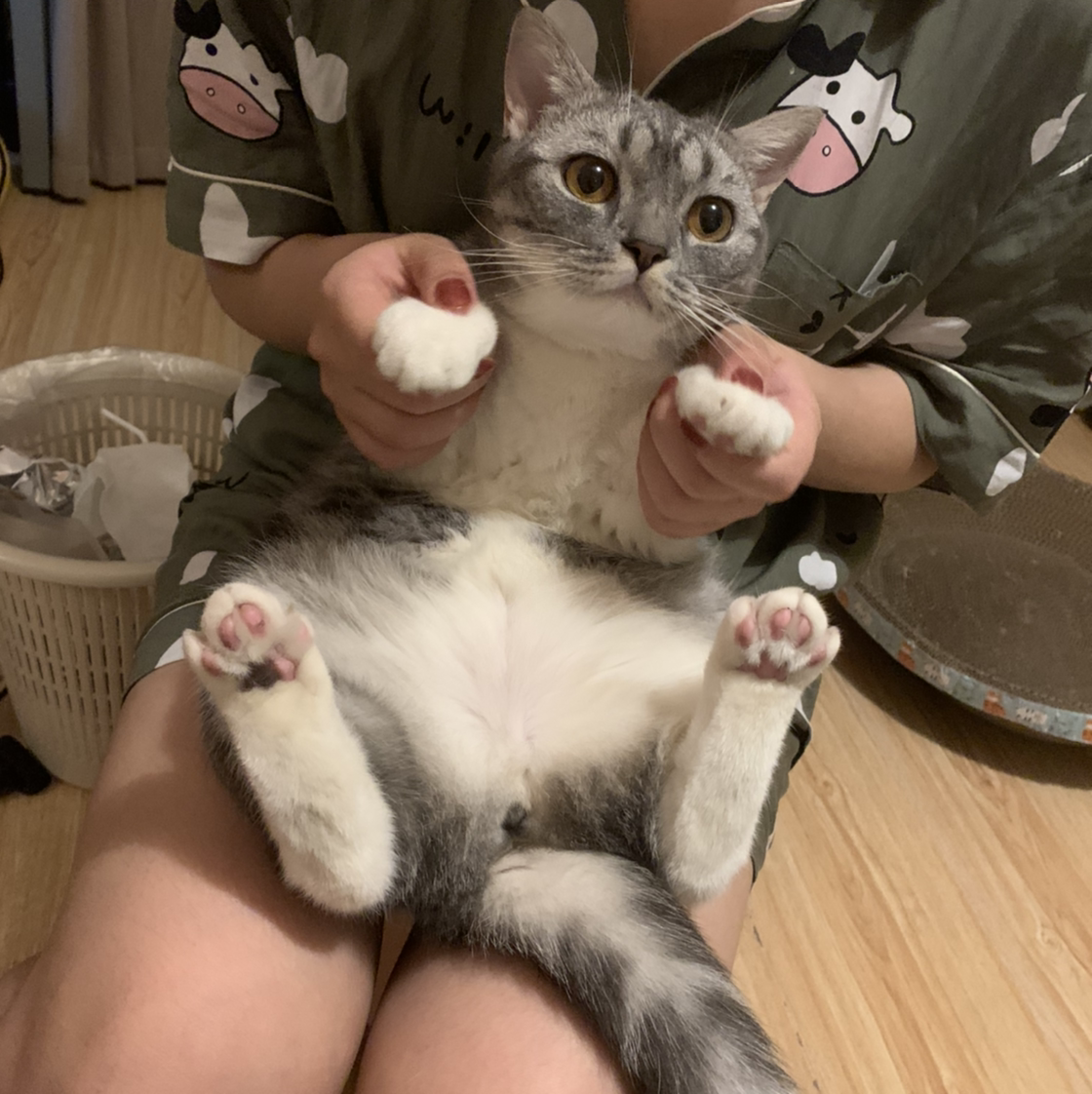 清焕