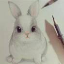 借花献佛