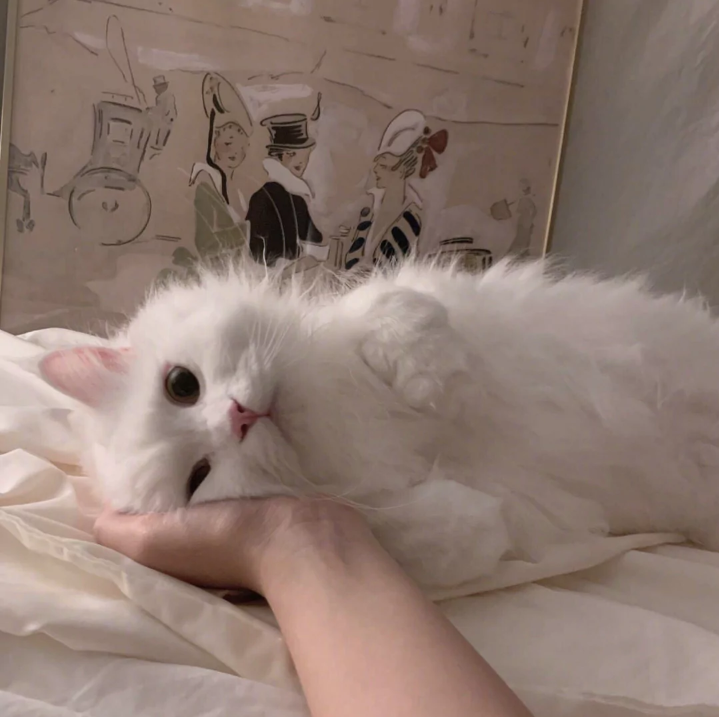 杨颜硕