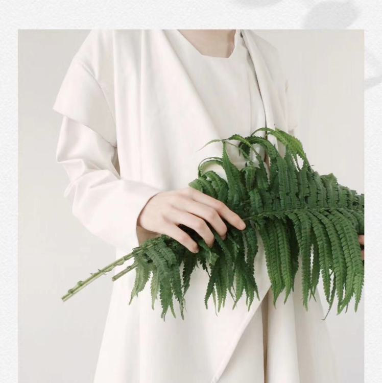 大阿白