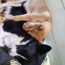 六生门