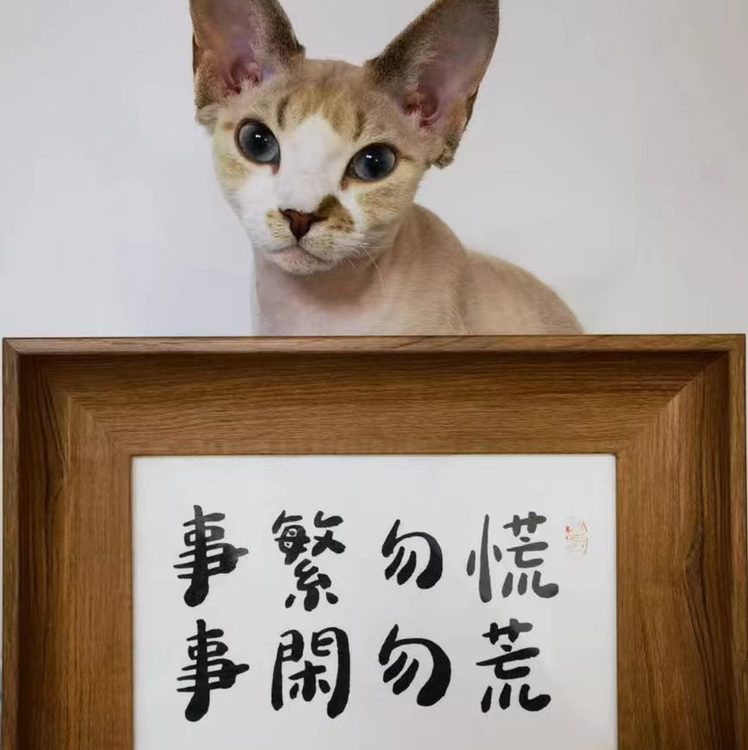 我不是随便的人！