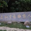 成哥