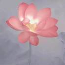 李