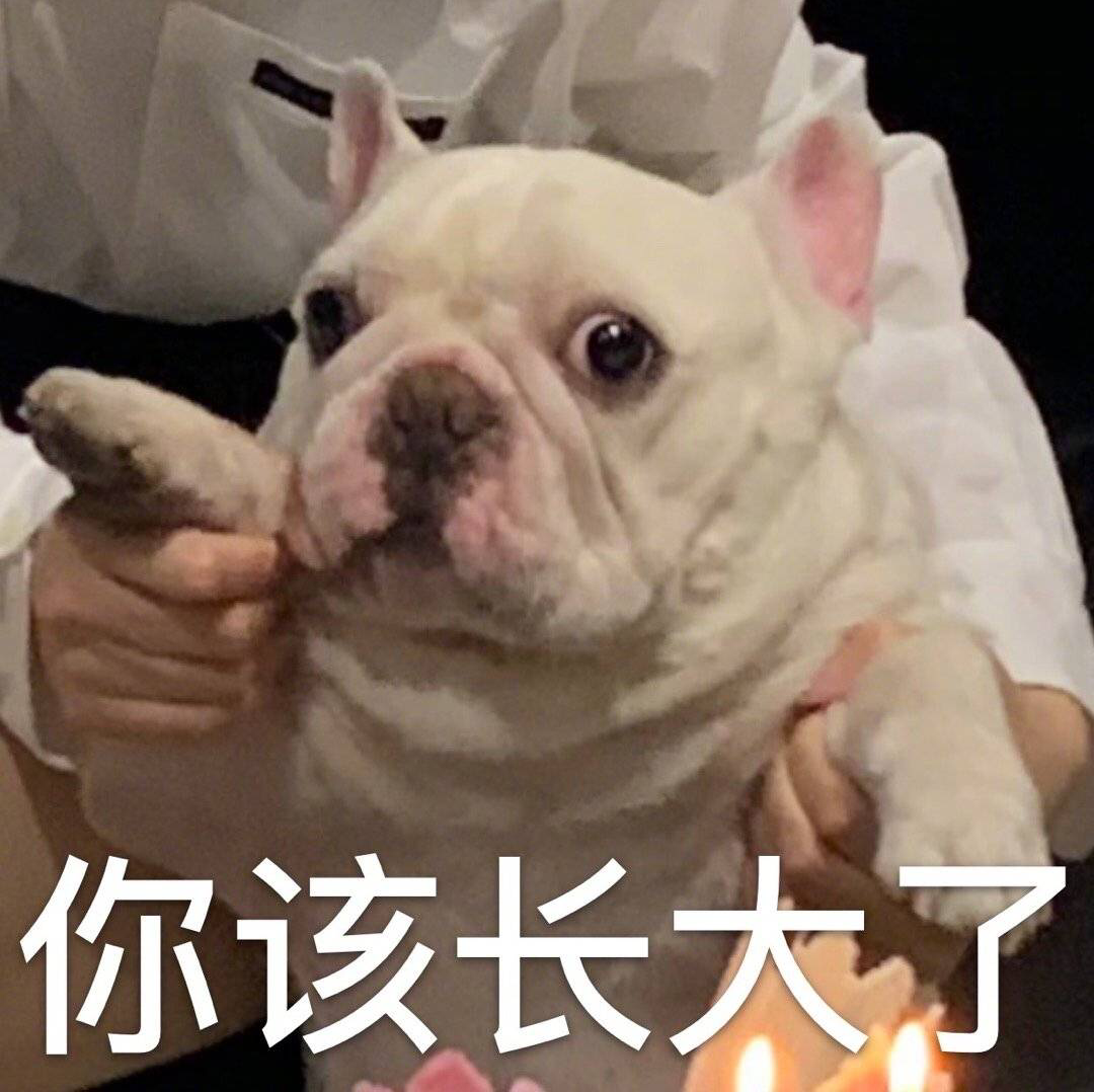 威艾霹