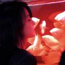 Fanyii-