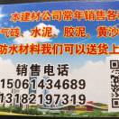 小鱼