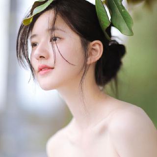 茶之韵萤之飘