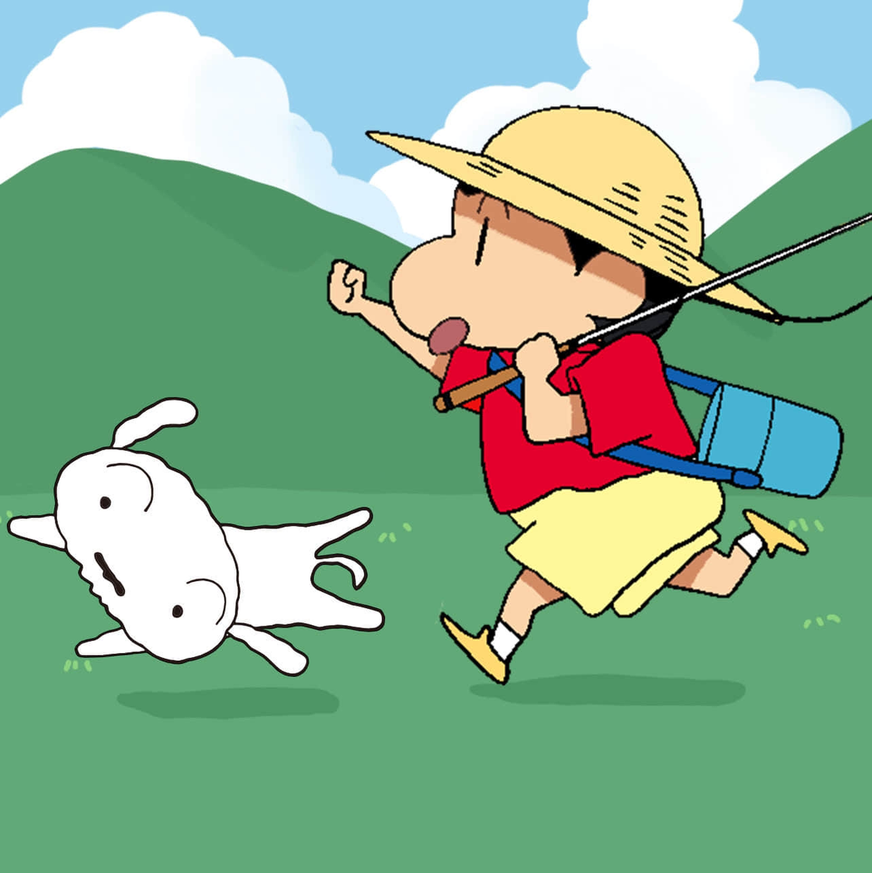 胖胖