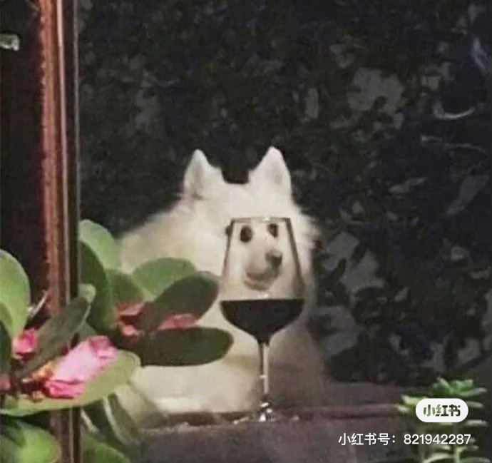 北魏之主世之奸雄曹丞相