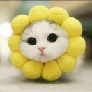还我漂漂拳