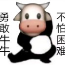 种熊猫