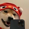 小珂