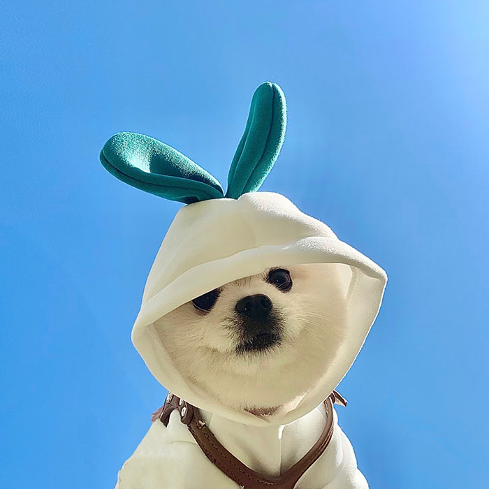 ‍‍