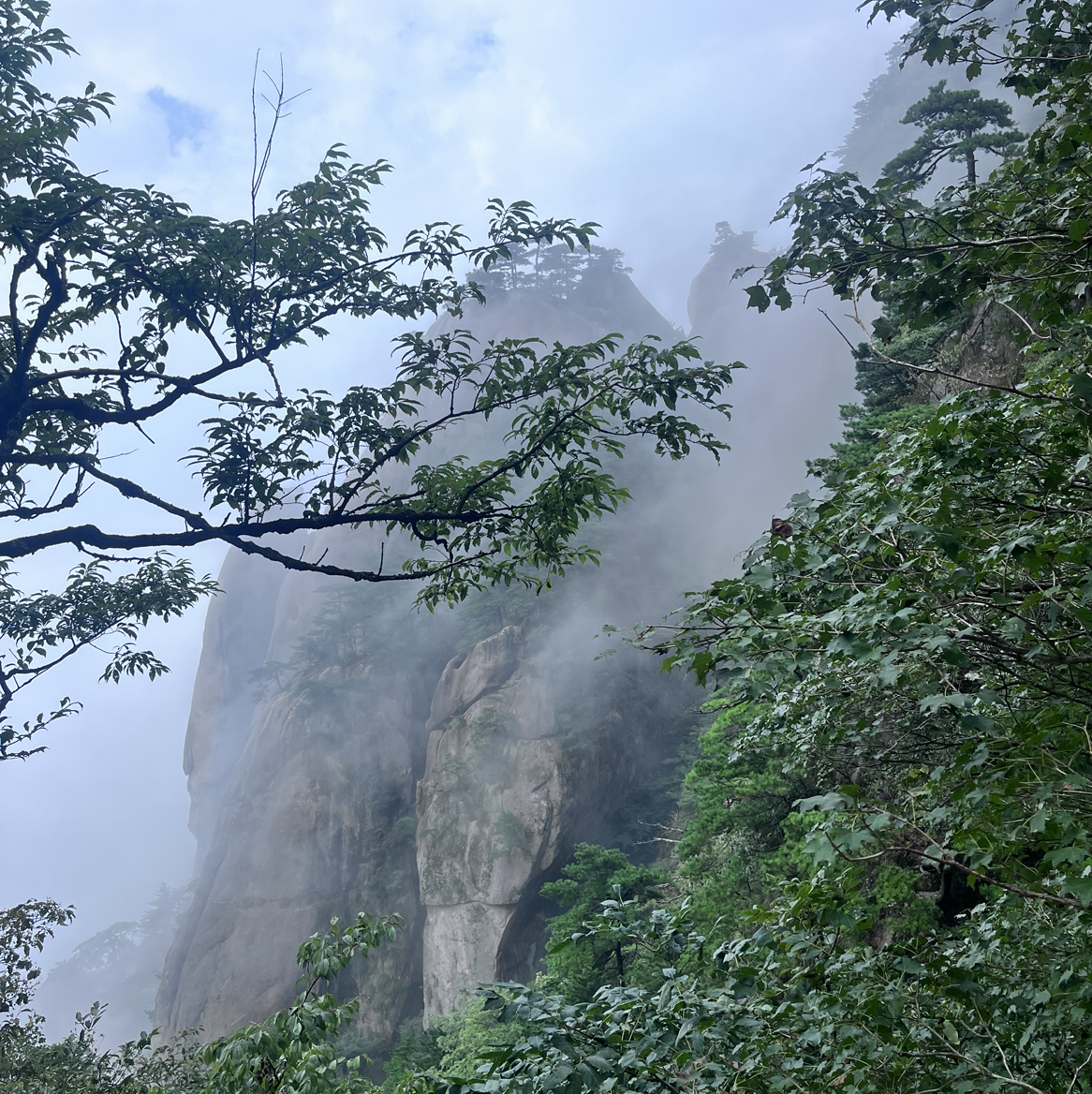 木林75