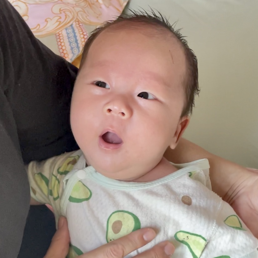 陆佳雯