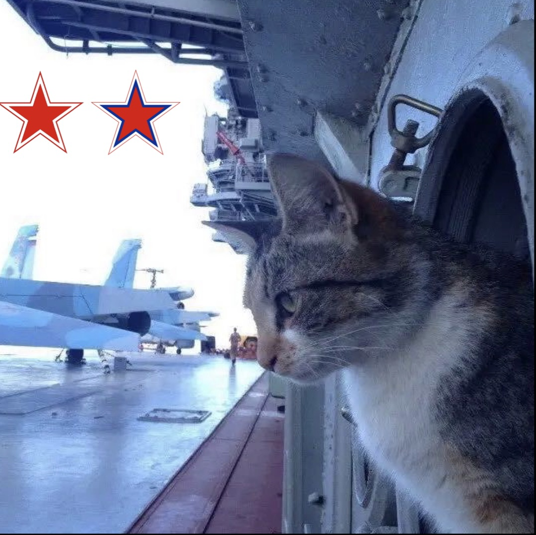 空天猫级