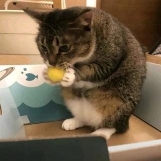 云浮梦