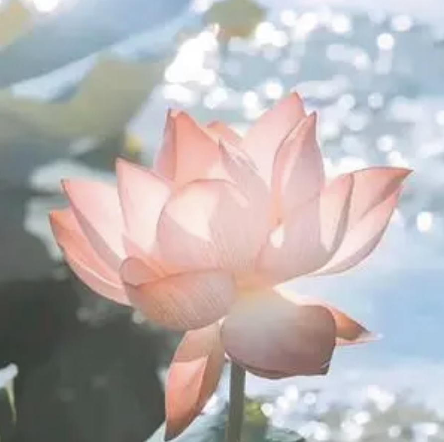 花开富贵_850218
