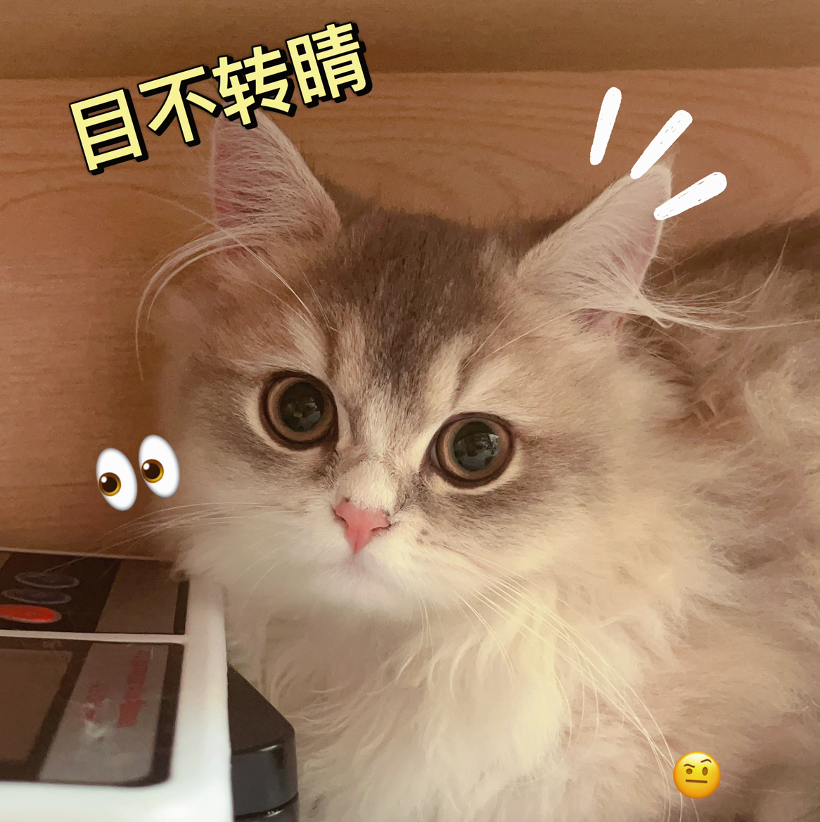 。