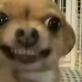 应振南
