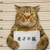 戏子入画、一生天涯