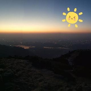 极锋知劲草