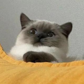 王富贵