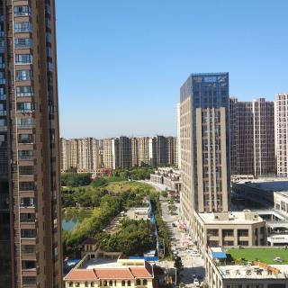 树上村肉