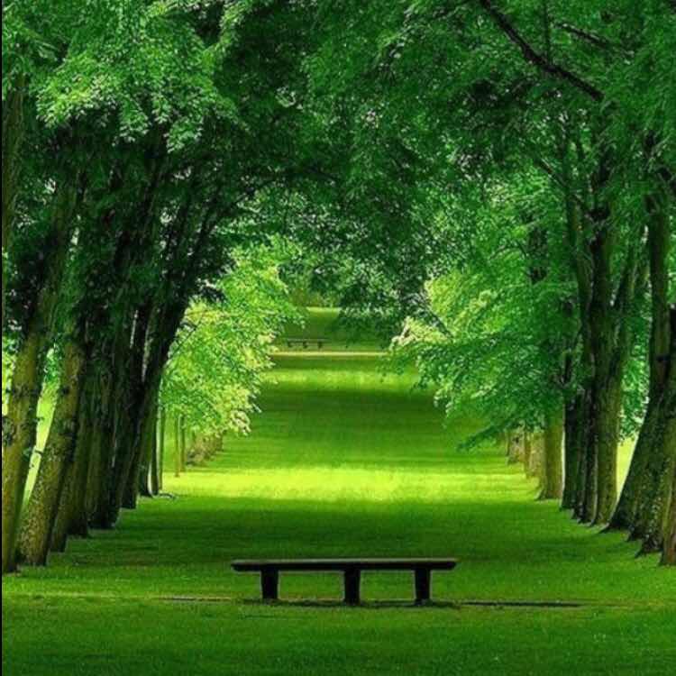 李景仕