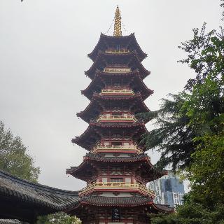 飞黄腾达指日可待