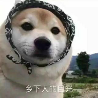 你个貂毛～